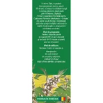 Talpa Catnip Tea, C42, 50 g, Fares