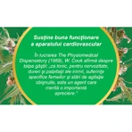 Talpa Catnip Tea, C42, 50 g, Fares