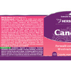 Candida Free, 120 capsule, Herbagetica Candida Free, 120 capsule, Herbagetica