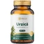 Net Net Net 500 mg - 60 capsules met geconcentreerd extract van netelwortel ter ondersteuning van het urinewegstelsel, de prostaat en de bloedsomloop | Traditional Herbals