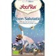 T&#233; de la Luna Ecol&#243;gico, 17 bolsitas, Yogi Tea