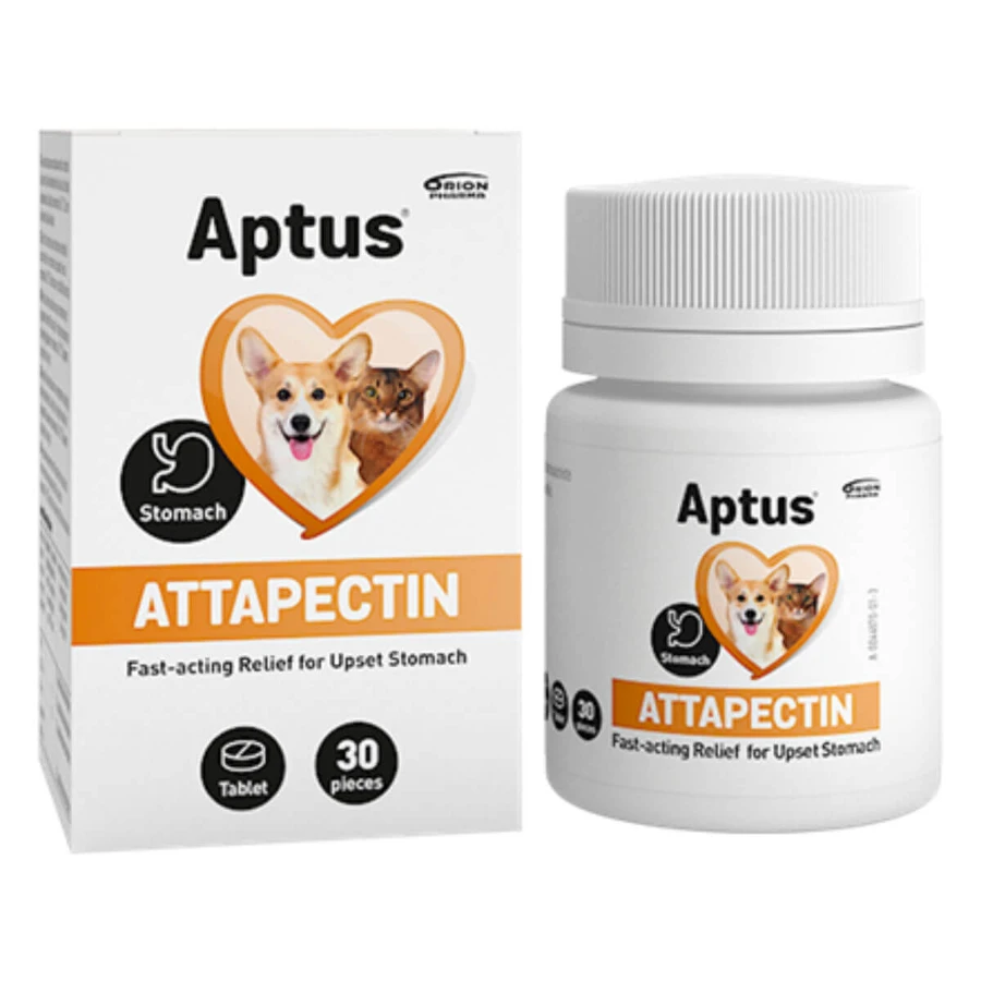 APTUS Attapectin Vet, XS-XL, digestive system supplement for dogs and cats, box, 30 tablets