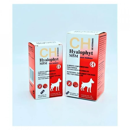 CHEMICAL IBERICA Hyalophyt MSM Medium, M, Gelenksystem-Ergänzung für Hunde, Box, 120 Tabletten