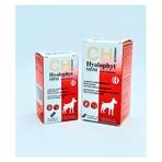 CHEMICAL IBERICA Hyalophyt MSM Medium, M, Gelenksystem-Ergänzung für Hunde, Box, 120 Tabletten
