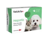 VETARIA+ Hepatic for small dogs, XS-S, liver system supplement for dogs and cats, Chicken, box, 30 capsules