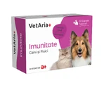 VETARIA+ Immunity, XS-XL, suplemento del sistema inmunitario para perros y gatos, Pollo, caja, 30 cápsulas