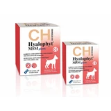 CHEMICAL IBERICA Hyalophyt MSM Giants, L-XL, gewrichtssysteem supplement voor honden, doos, 30 tabletten