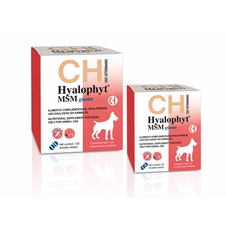 CHEMICAL IBERICA Hyalophyt MSM Giants, L-XL, Gelenksystemergänzung für Hunde, Box, 30 Tabletten