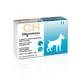 CHEMICAL IBERICA Digestolac Plus, XS-XL, suplemento del sistema digestivo para perros, caja, 20 comprimidos