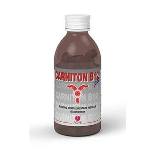 Carniton b 12 12 80 tabletten