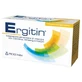 Ergitin 10 flacons 10 ml