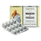 Magnesium und Kalium 24 Tabletten