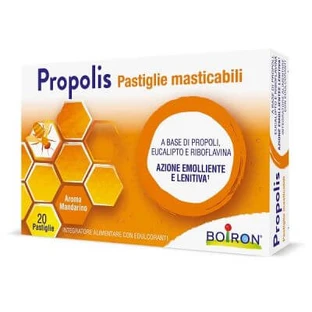 Mandarijn propolis tabletten 20 g