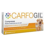 Carfogil 30 comprimés
