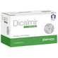 Dicalmir mezcla de hierbas 15 sobres 2 g