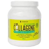 Vitamin day collagen joints 390 g