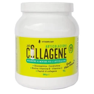 Vitamin Tag Kollagen Gelenke 390 g