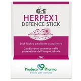 Bâton de défense Gse herpex 1