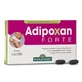 Adipoxan forte 30 Kapseln me 31,9 g