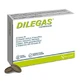 Dilegas tablets 30 tablets