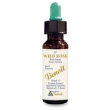 Bachblüten Benoit Wildrose 10 ml