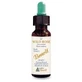 Bachblüten Benoit Wildrose 10 ml