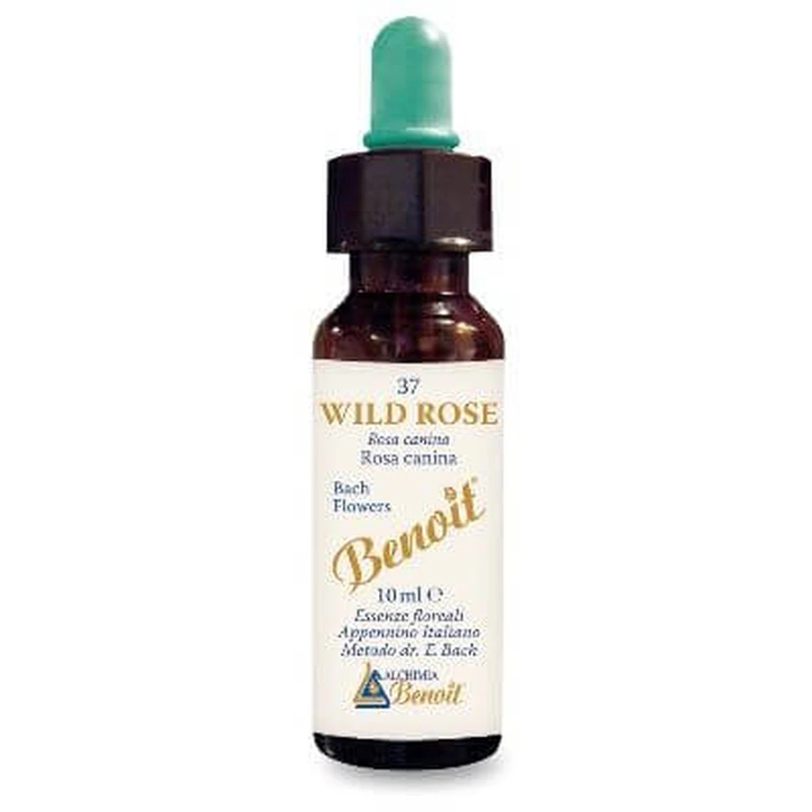 Bachblüten Benoit Wildrose 10 ml