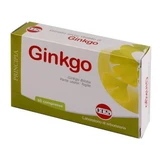 Ginkgo biloba Trockenextrakt 60 Tabletten