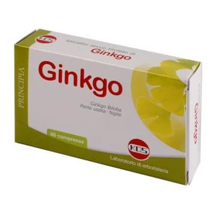 Ginkgo biloba extrait sec 60 comprimés