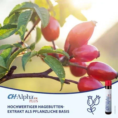 Kollagen Ch Alpha Plus, 30 Ampullen, Gelita Health