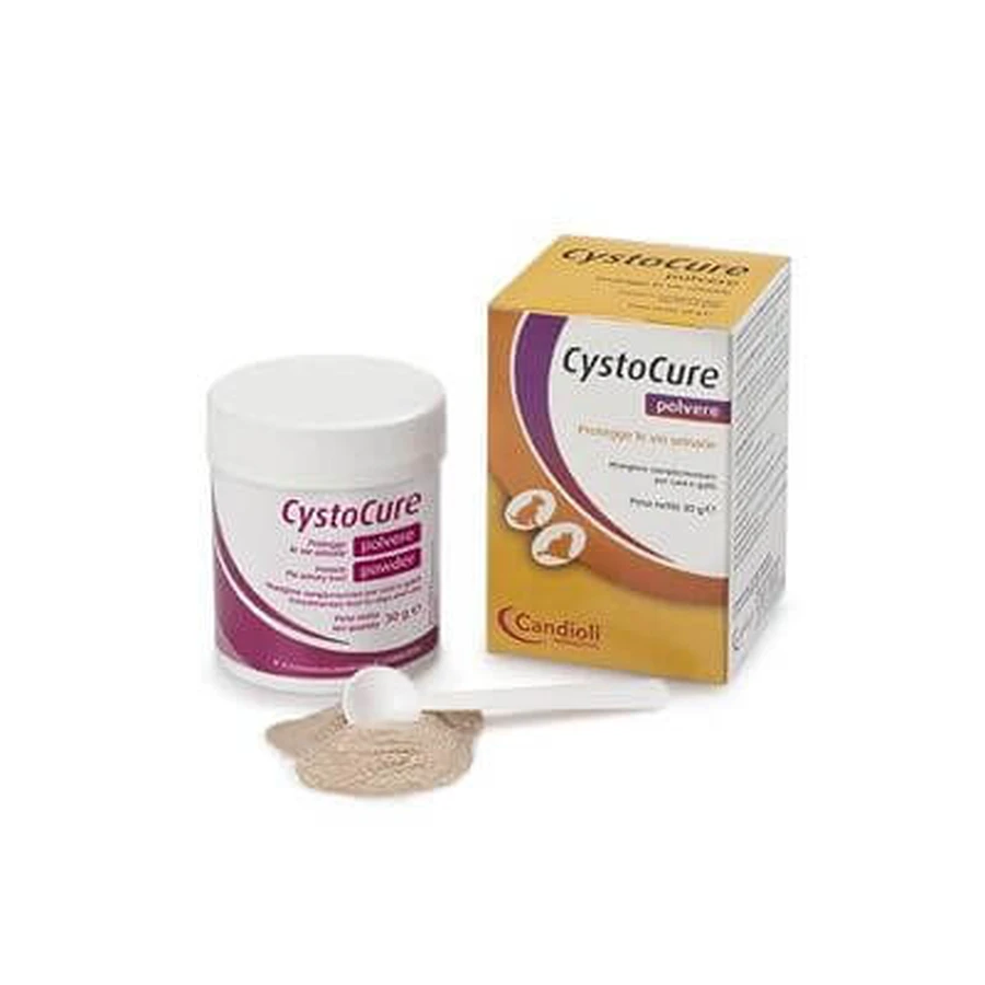 Cystocure forte Dose 30 g