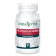 Fucus 60 capsules 500 mg