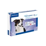 Effipro duo*4pip 10-20kg Hunde