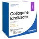 Yamamoto research collagène hydrolysé 30 sachets fraise des bois
