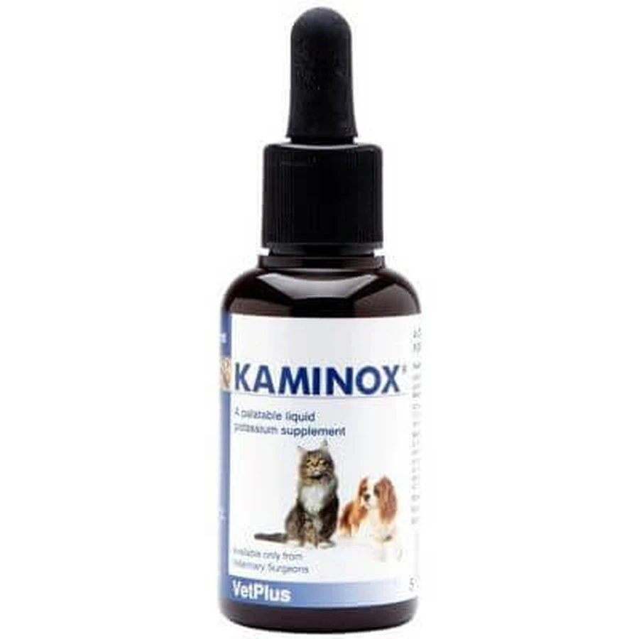 Kaminox syrup 60 ml