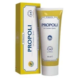 Propolis-Salbe 100 ml
