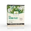 Vermo-Plant Parasite-intestinal Tea, 150 g, Dorel Plant