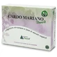 Milk thistle benoit 60 tablets 500 mg