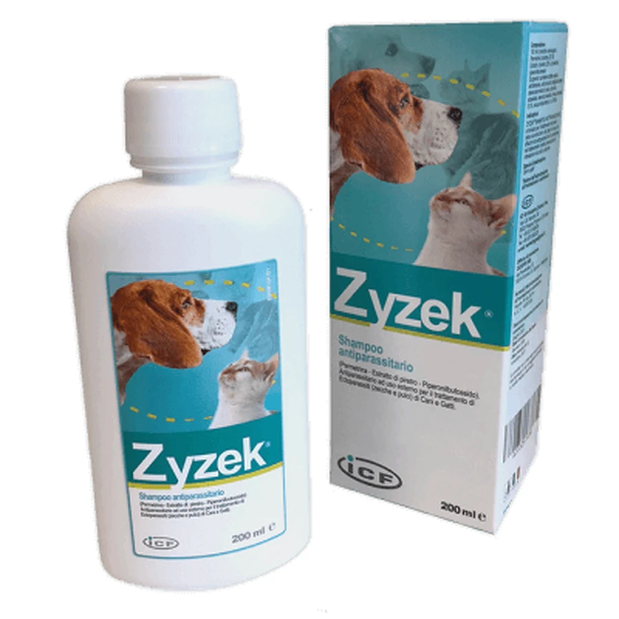 Zyzek ant*fl shampoo 200ml