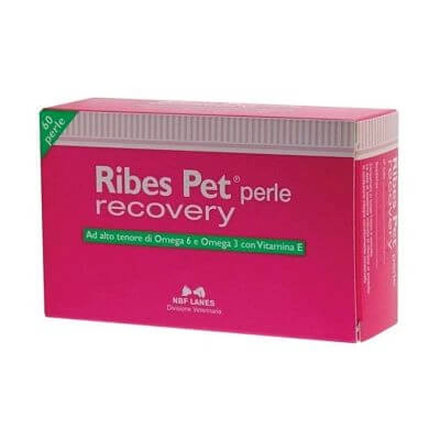 Ribes pet recovery blister 60 Perlen
