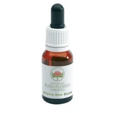 Alpenminze Essenz 15 ml 1 St.