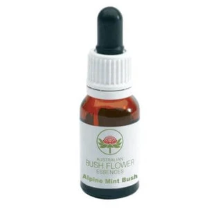 Alpine mint essence 15 ml 1 pc