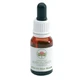 Alpine mint essence 15 ml 1 pc