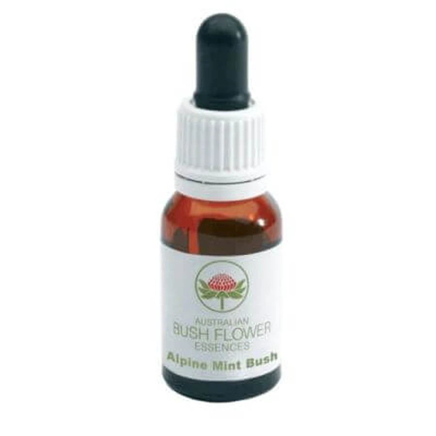 Alpine mint essence 15 ml 1 pc