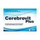 Cerebrovit plus 24 gélules