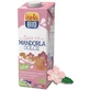 Bio-Süßmandelgetränk Island 1 Liter