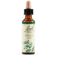 Holly bach orig 20 ml