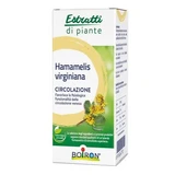 Hamamelis boiron hydroalkoholischer Auszug 60 ml
