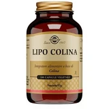 Lipo Choline 100 vegetarian capsules