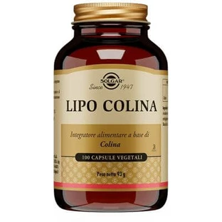 Lipo Choline 100 vegetarian capsules